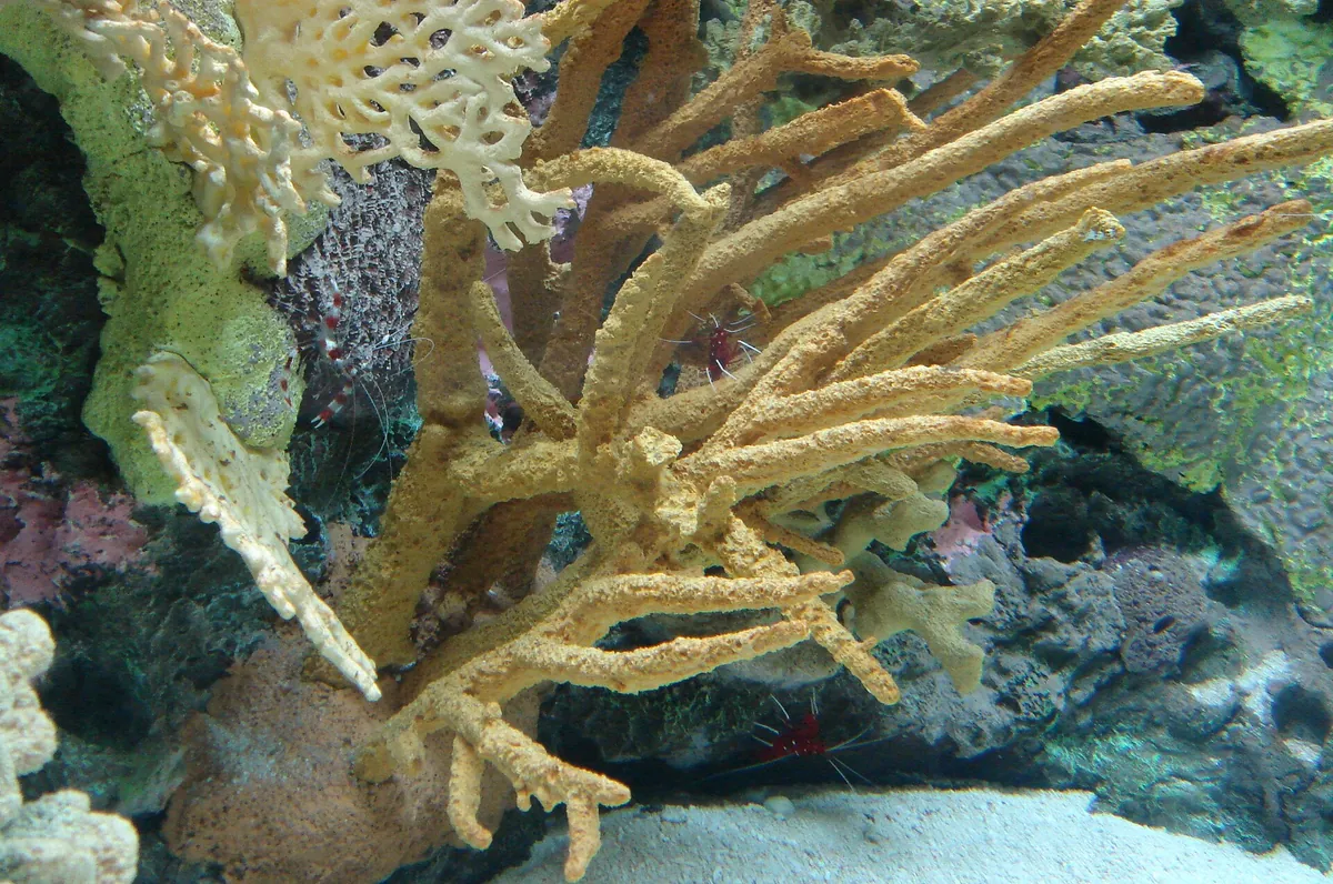 Oregon Coast Aquarium