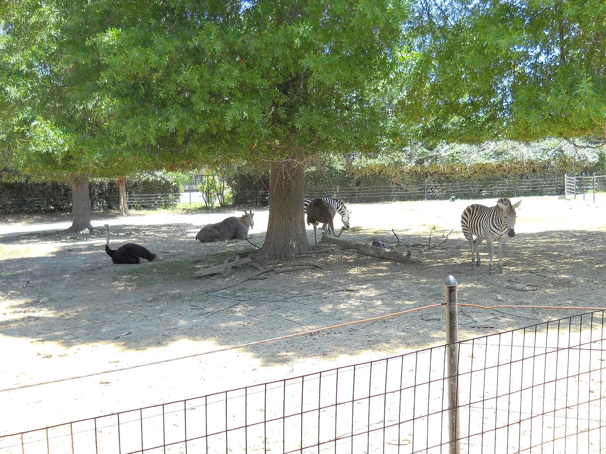 Hattiesburg Zoo