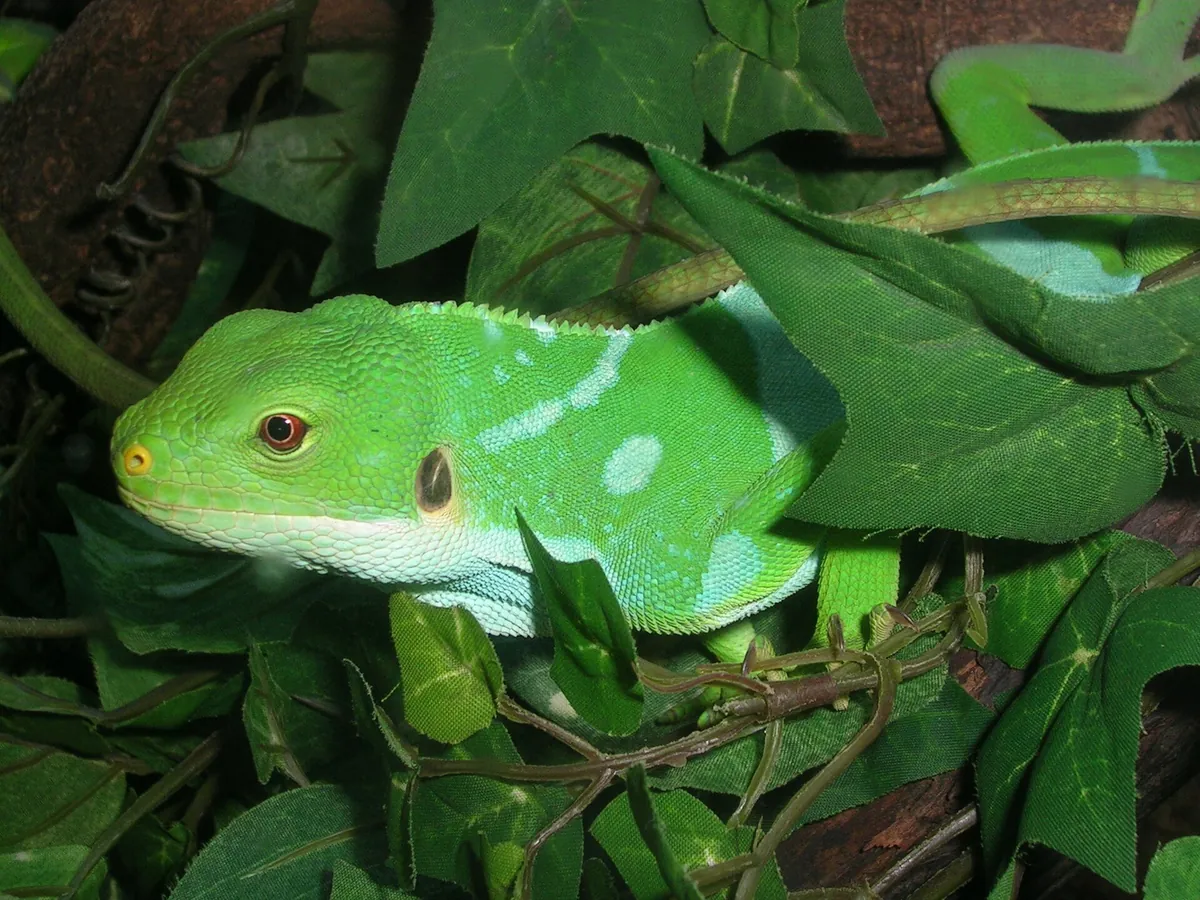 Oslo Reptilpark