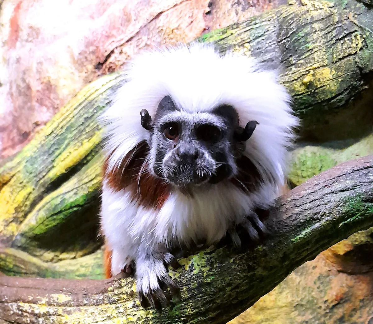 Latgale Zoo