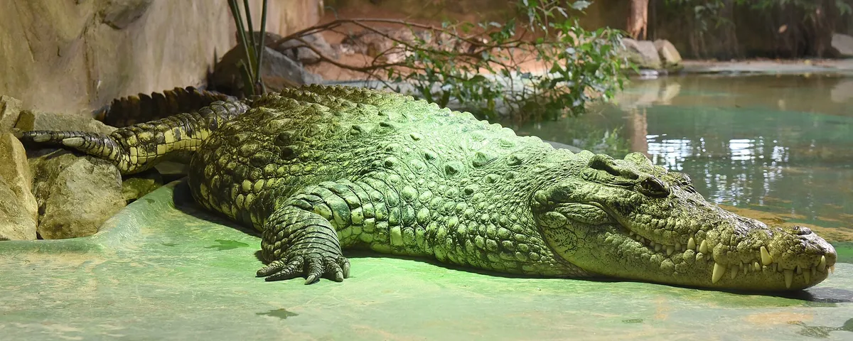 TerraZoo Rheinberg