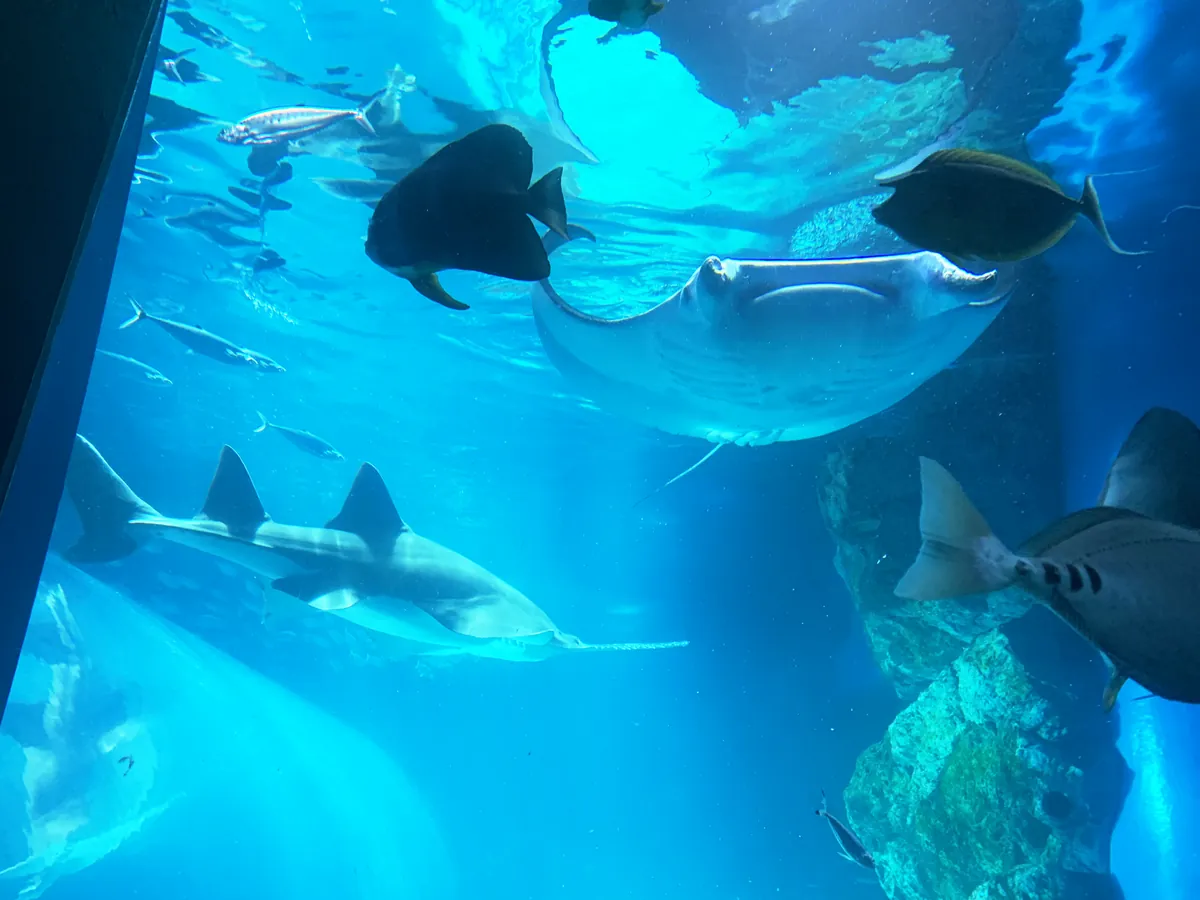 Aqua Park Shinagawa