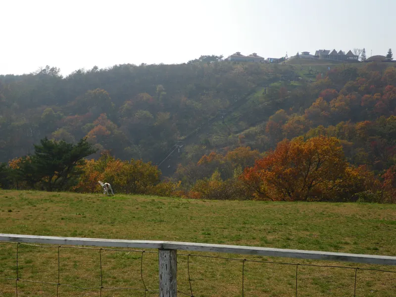 Nasu Animal Kingdom
