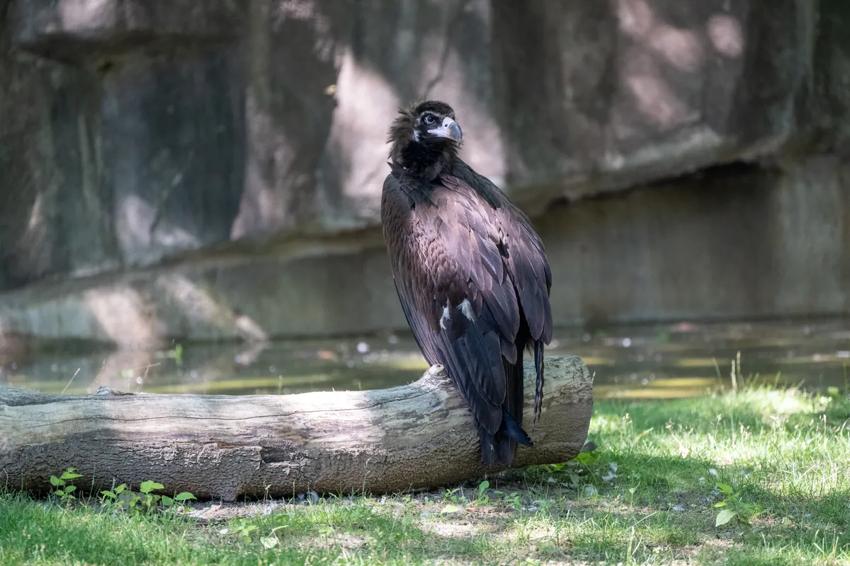 Milwaukee County Zoological Gardens