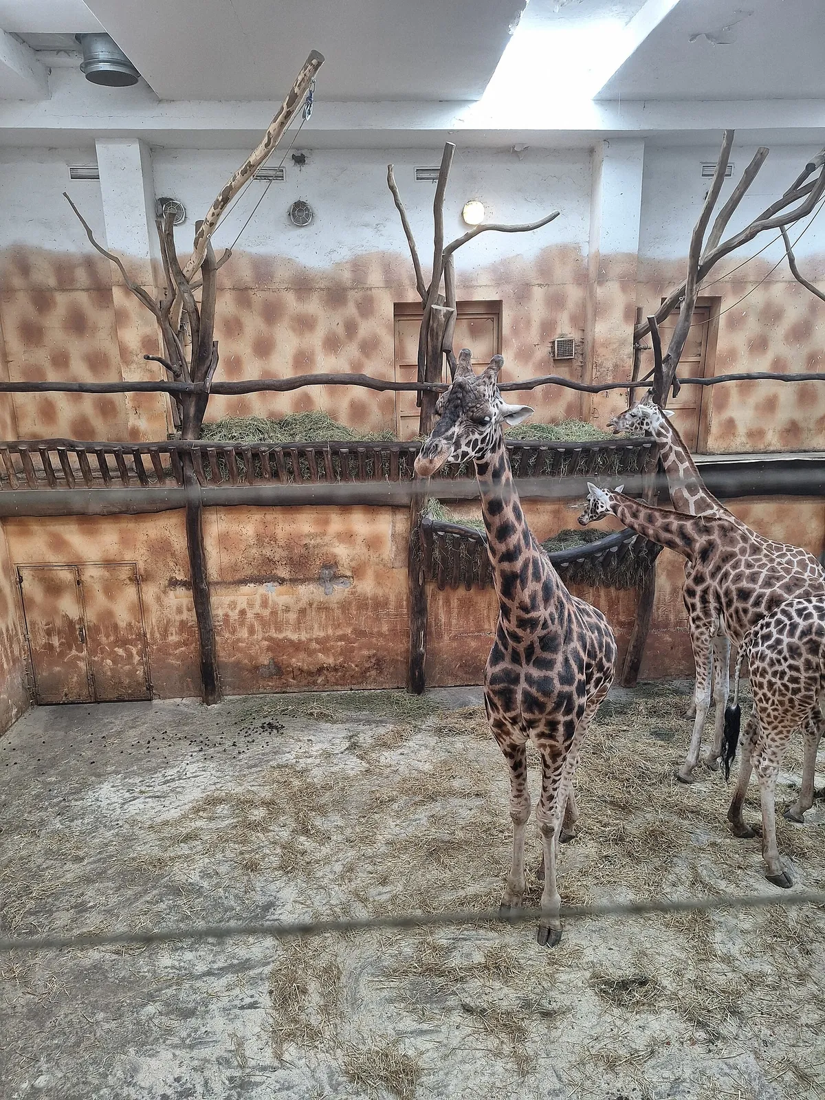 Olomouc Zoo