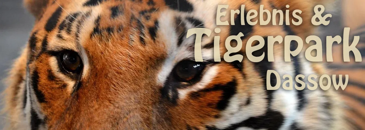 Tigerpark Dassow