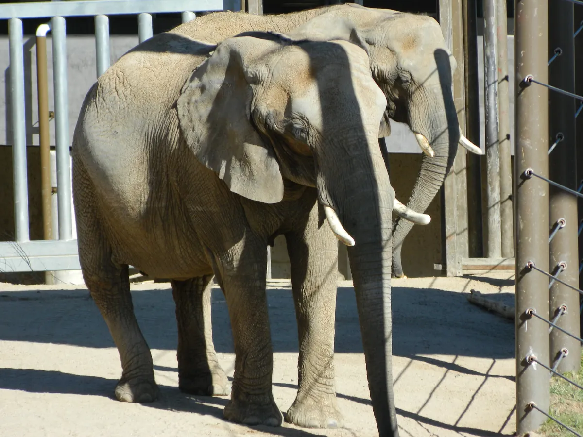 Cheyenne Mountain Zoological Park