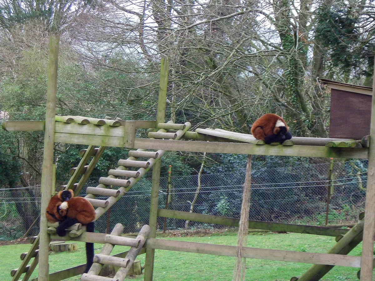 Combe Martin Wildlife and Dinosaur Park