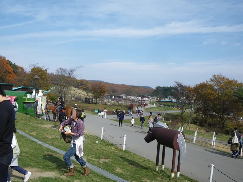 Nasu Animal Kingdom
