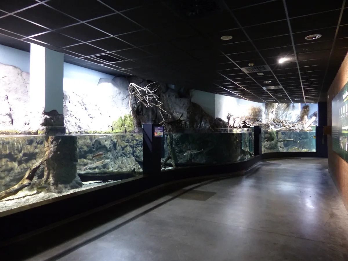 ACUARIO DE SEVILLA