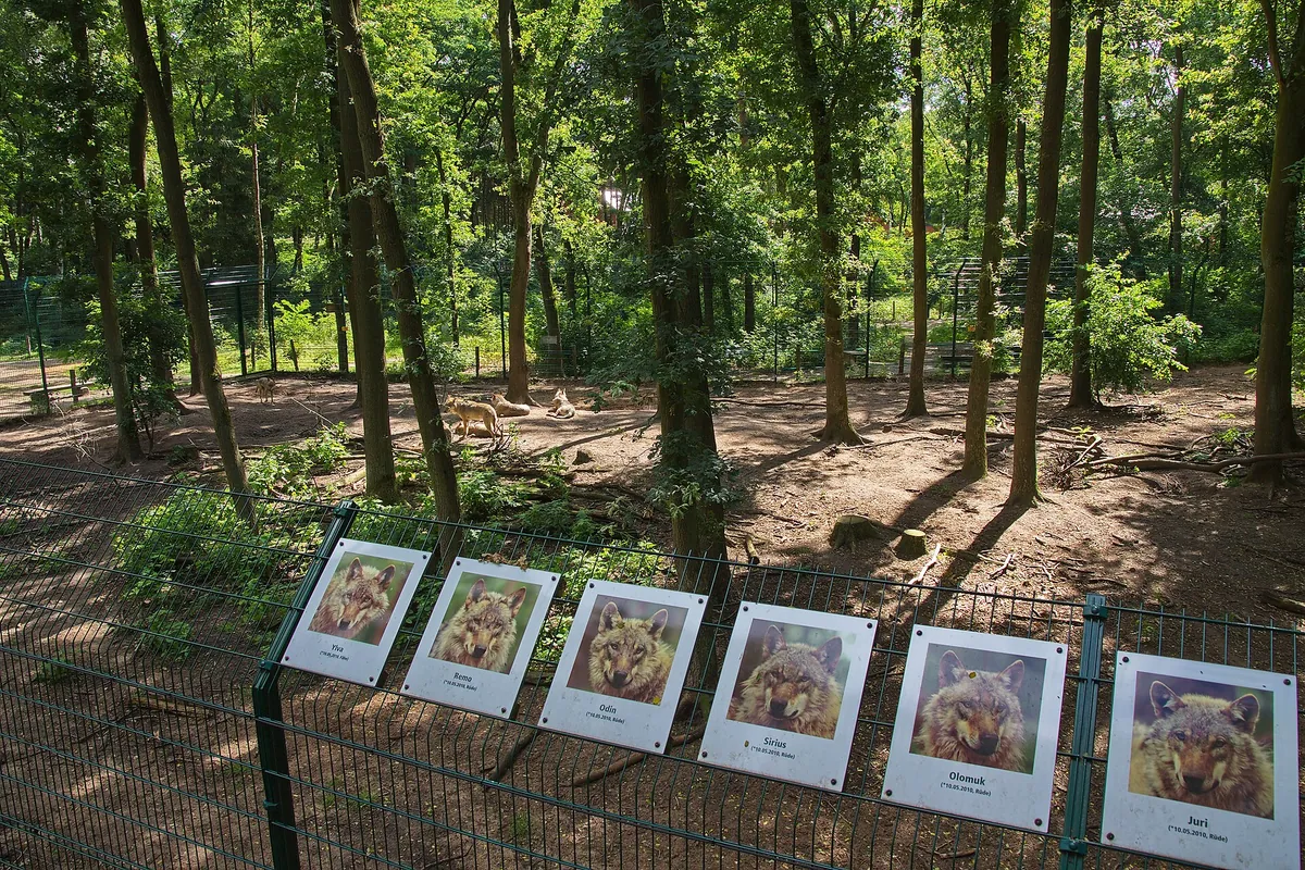 Wolfcenter Barme