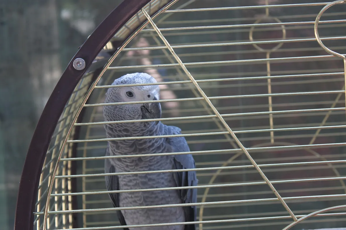Lutsk Zoo