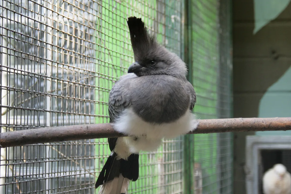 Solinger Vogel- und Tierpark