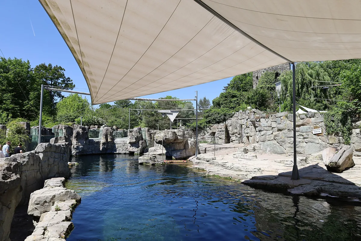 Zoo Frankfurt