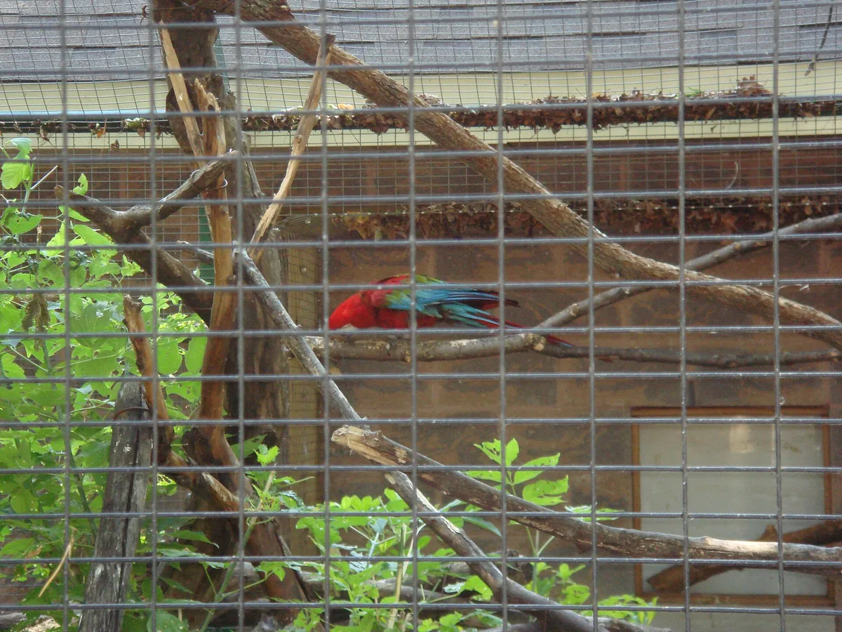 Riverviewpark Andzoo