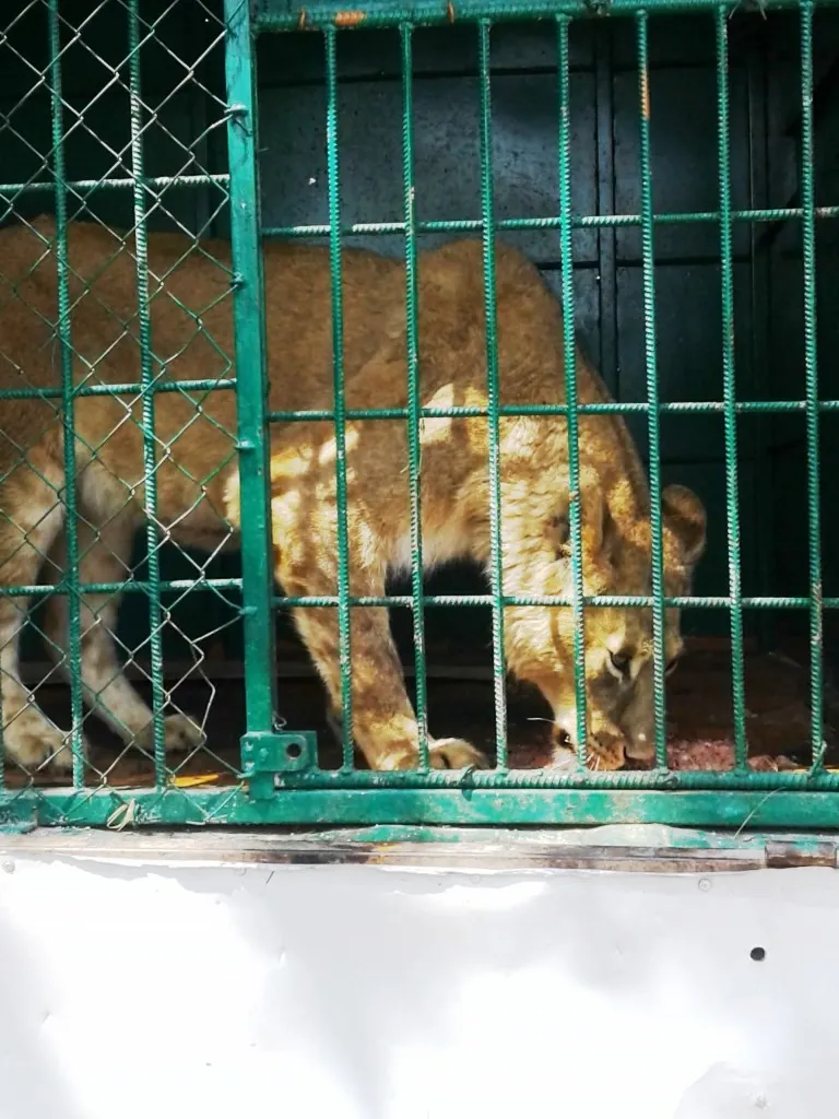 Dushanbe Zoo