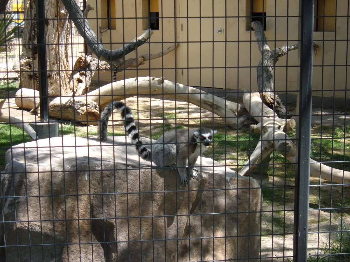Alameda Park Zoo