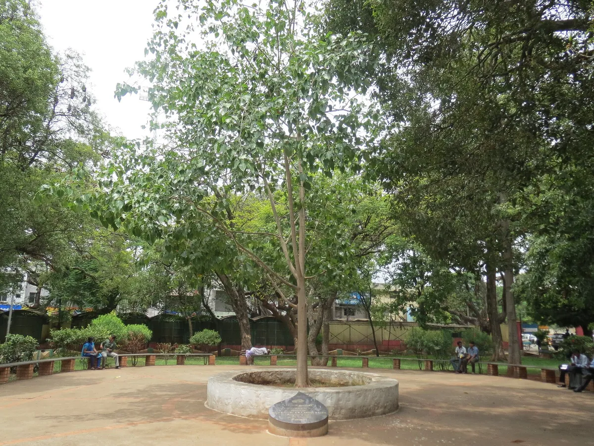 VOC park and zoo