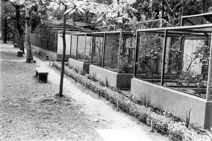 Surabaya Zoo
