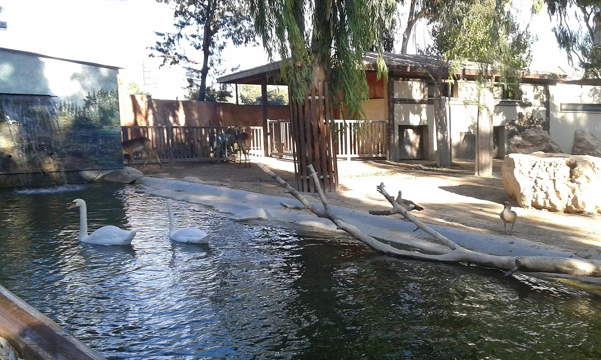 Limassol Zoo