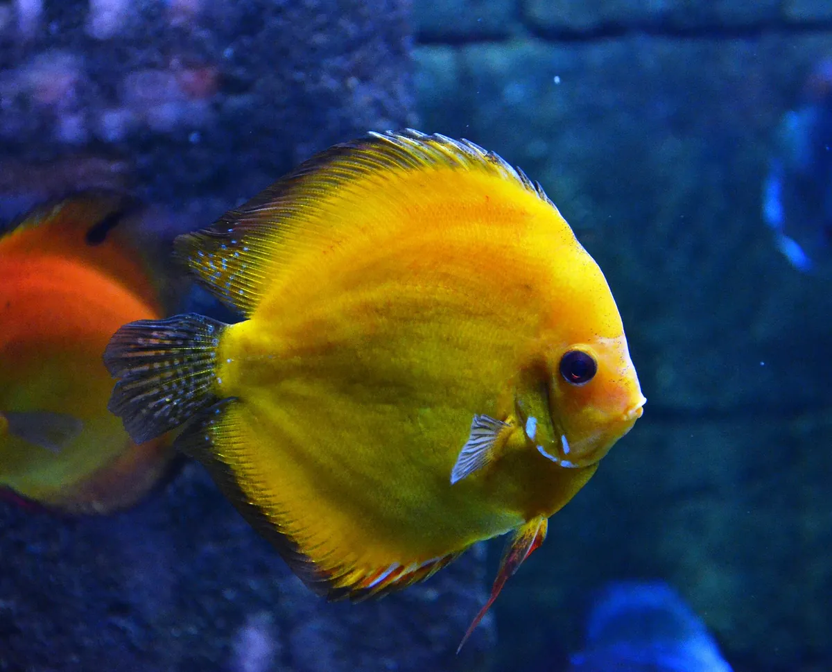 Underwater World Langkawi
