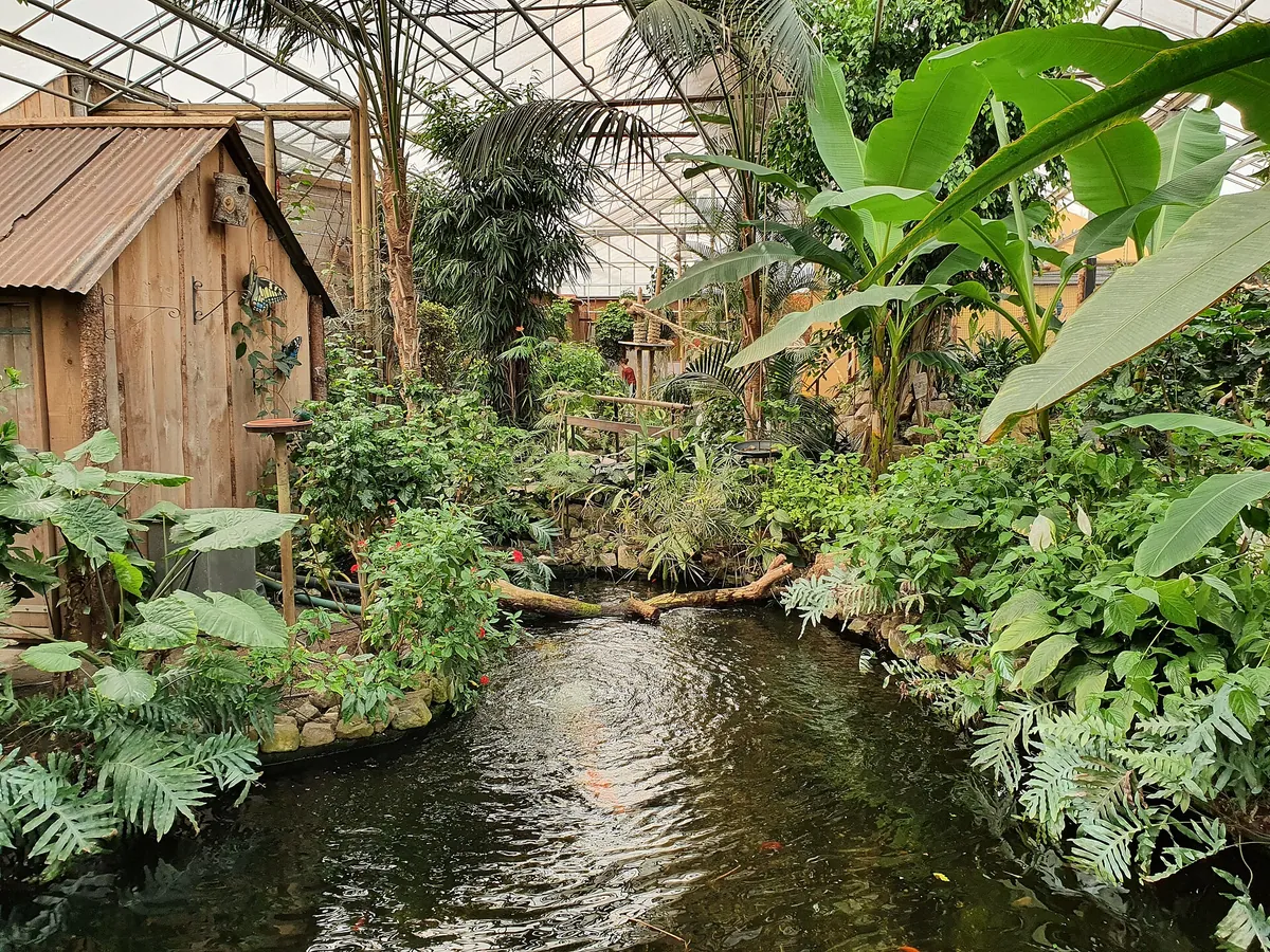 Berkenhof 's Tropical Zoo & Vlindertuin