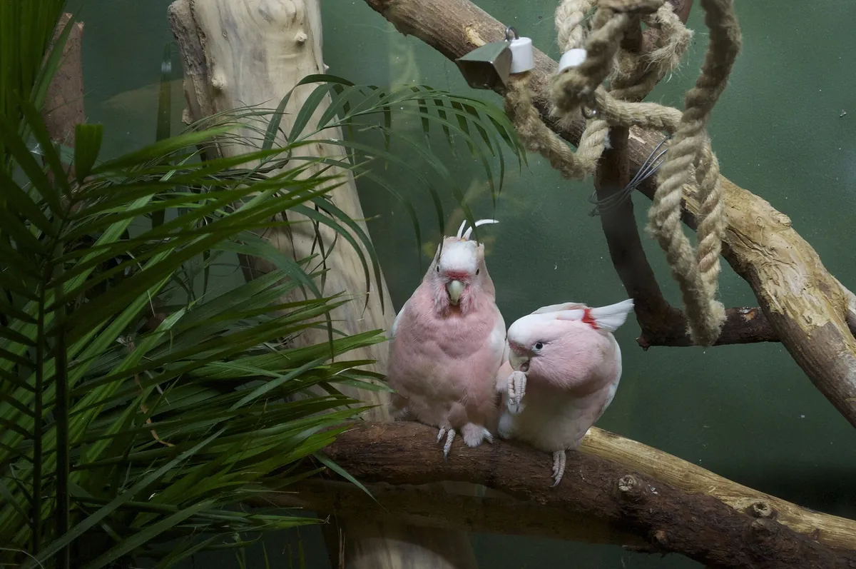 Prospect Park Zoo