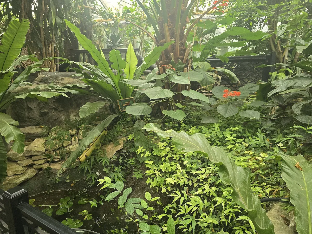 The Living Rainforest