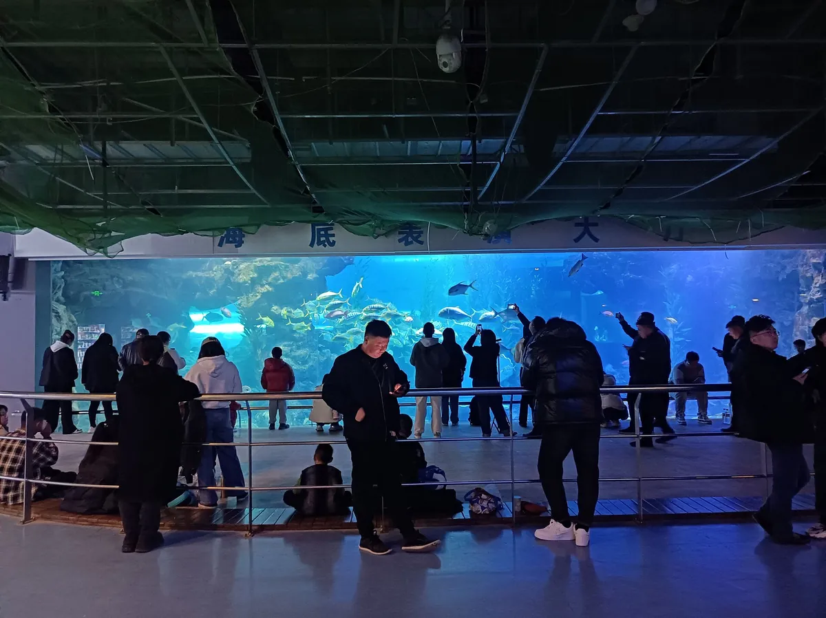 Qingdao Aquarium