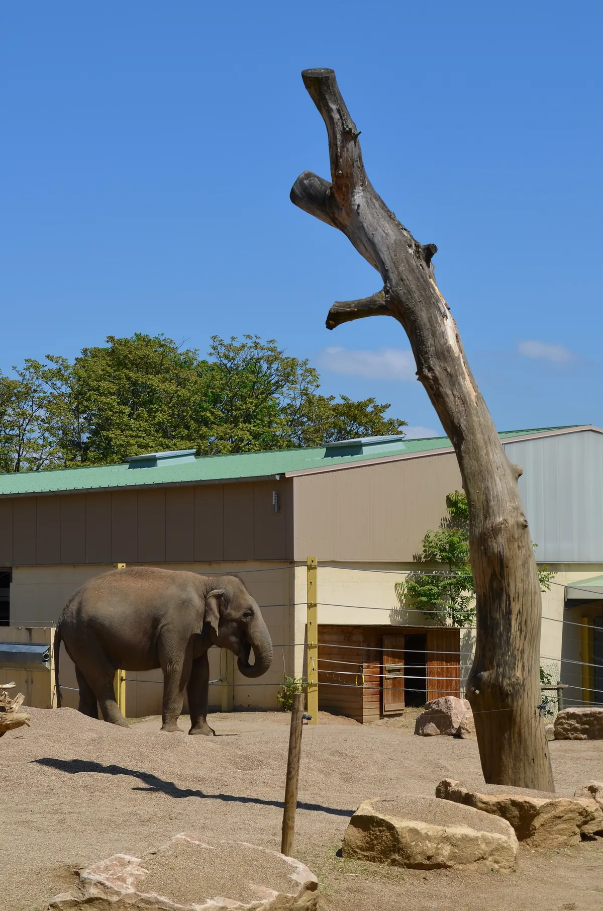 Touroparc Zoo