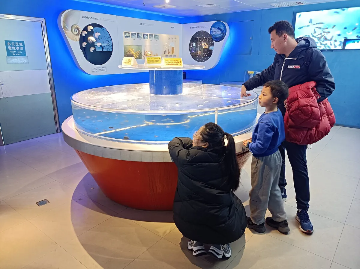 Qingdao Aquarium