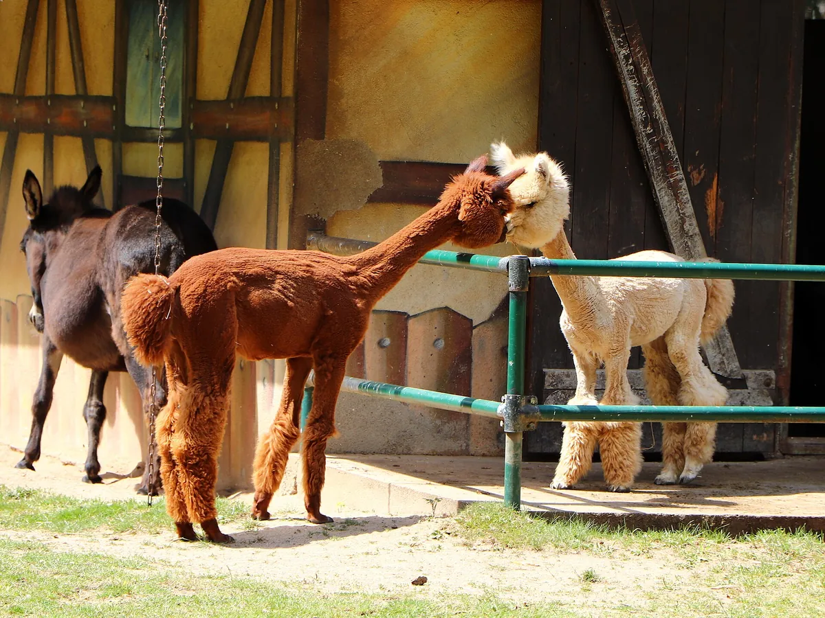 Tierpark Eilenburg