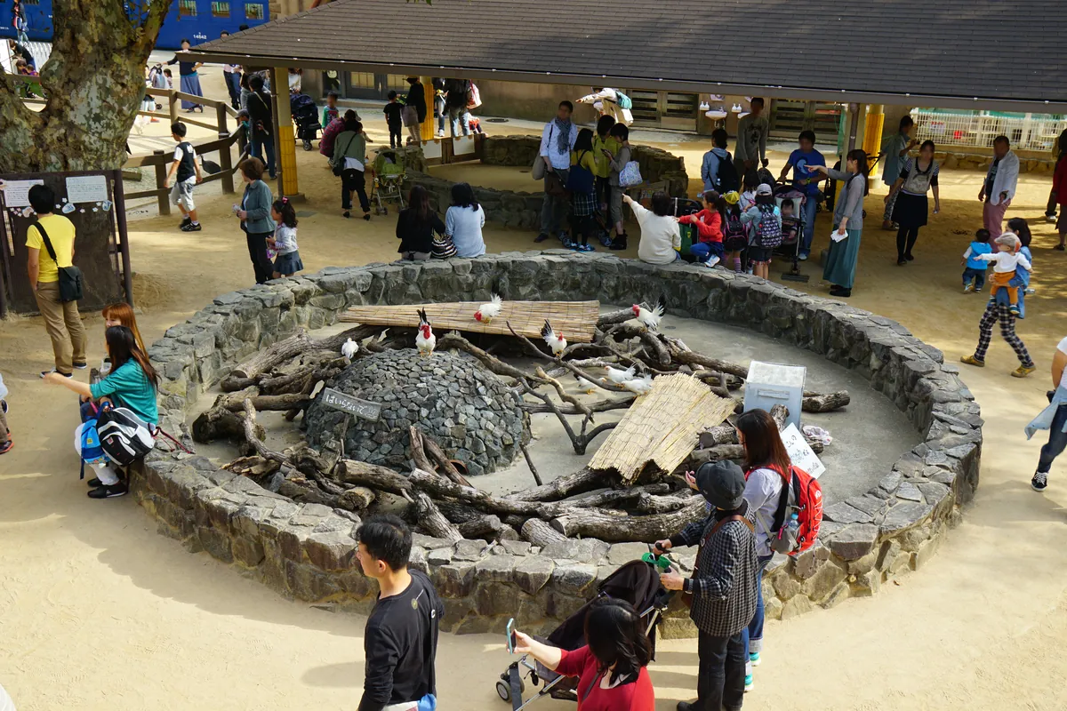Kobe Oji Zoo