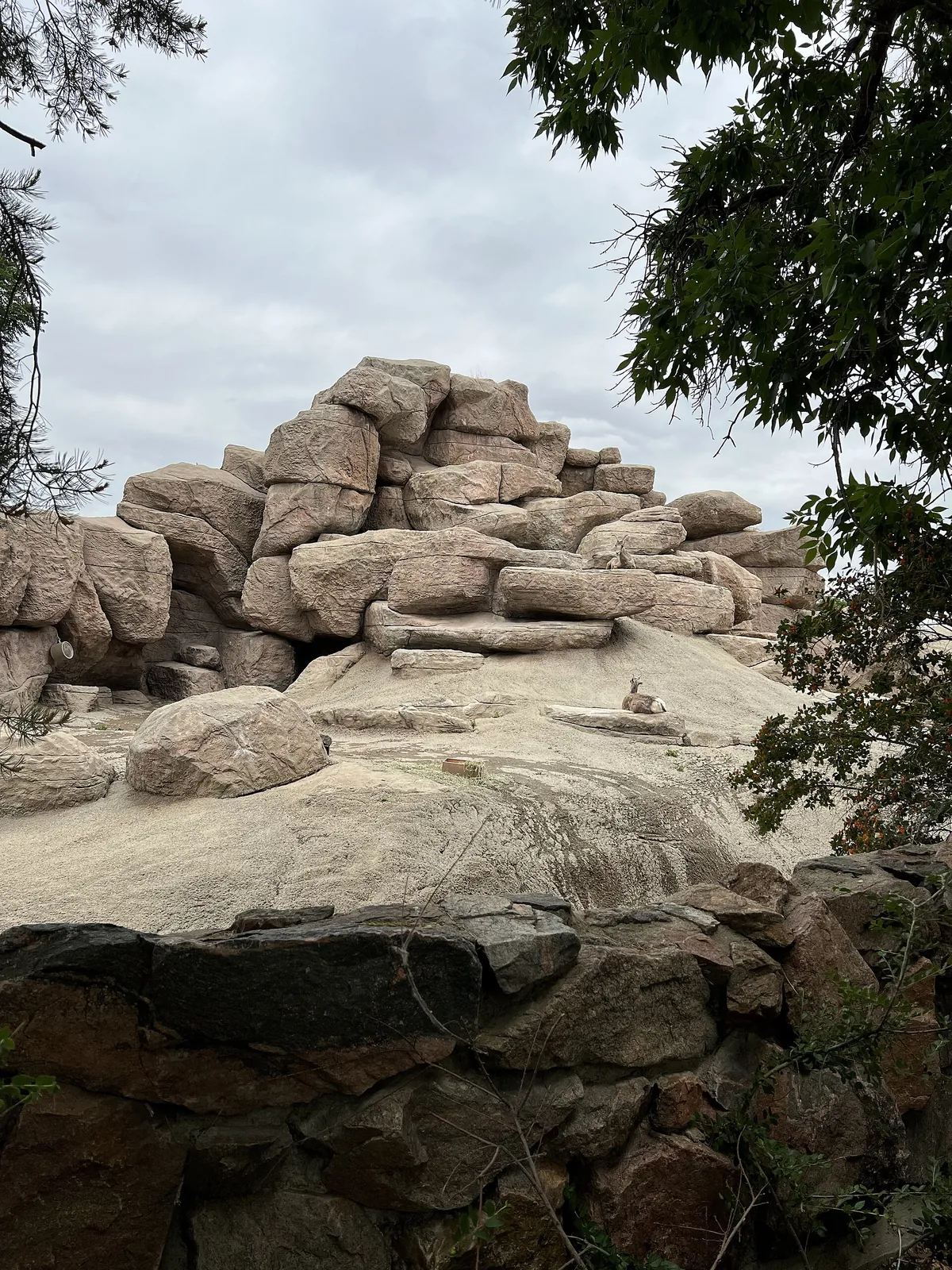 Denver Zoo