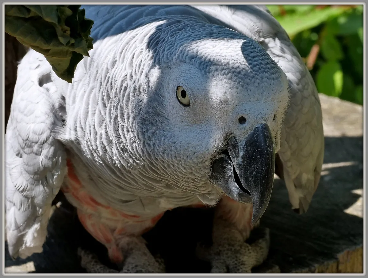 Tierpark Herborn