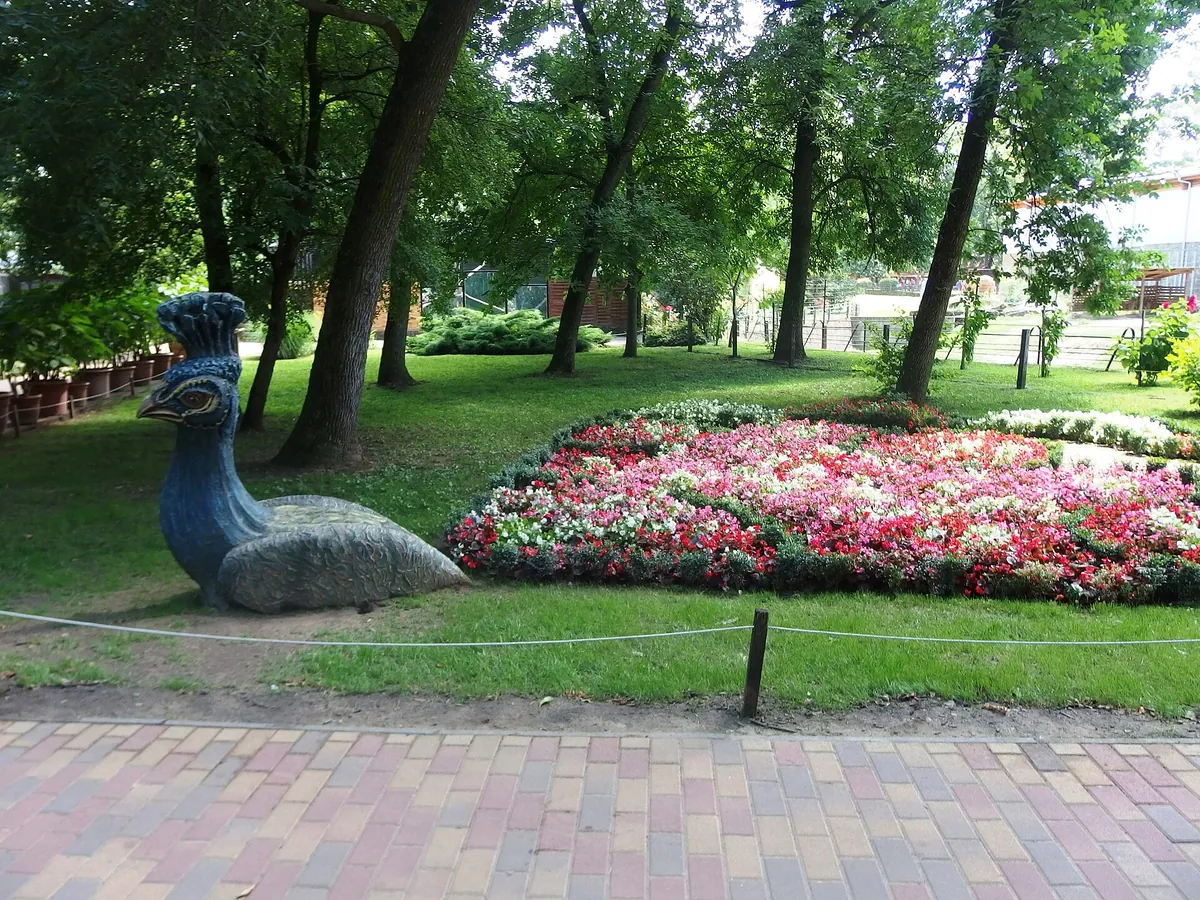 Nyíregyházi Állatpark