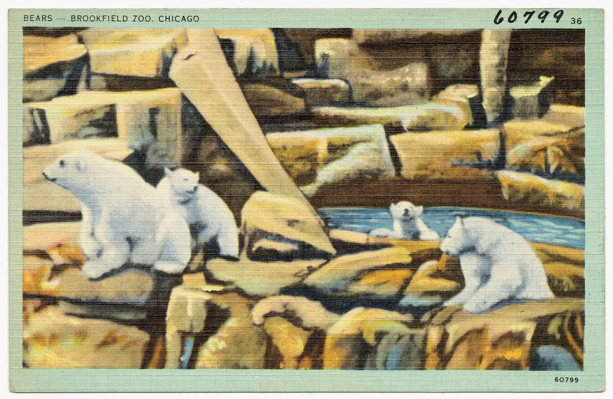 Brookfield Zoo Chicago