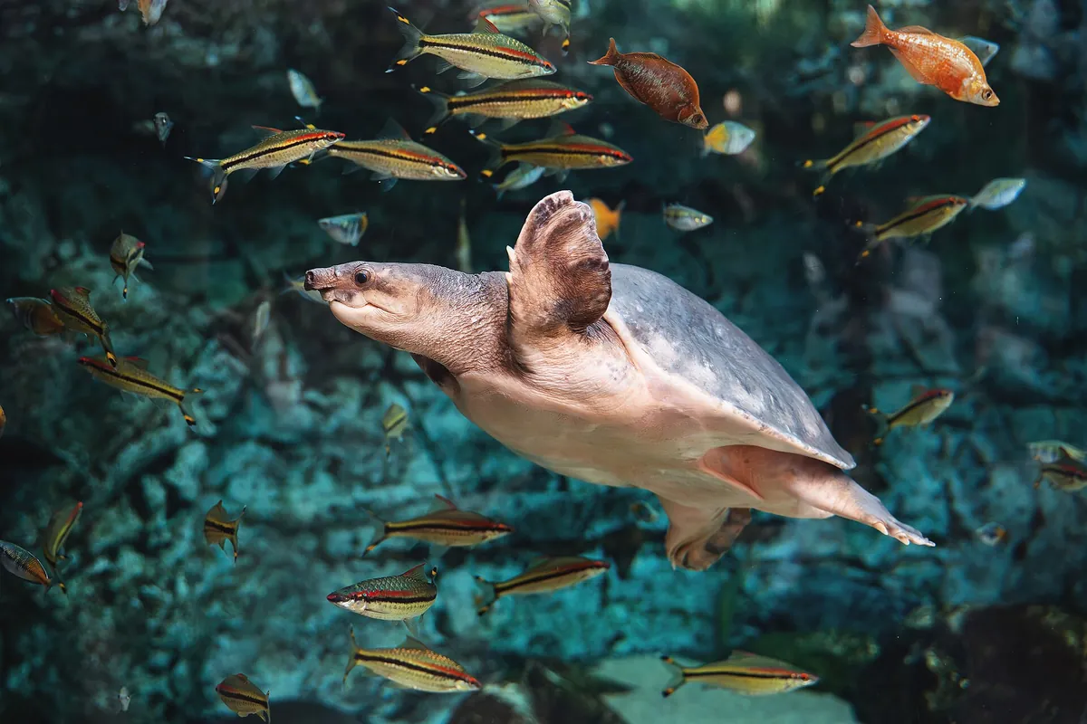 Poema del Mar Aquarium