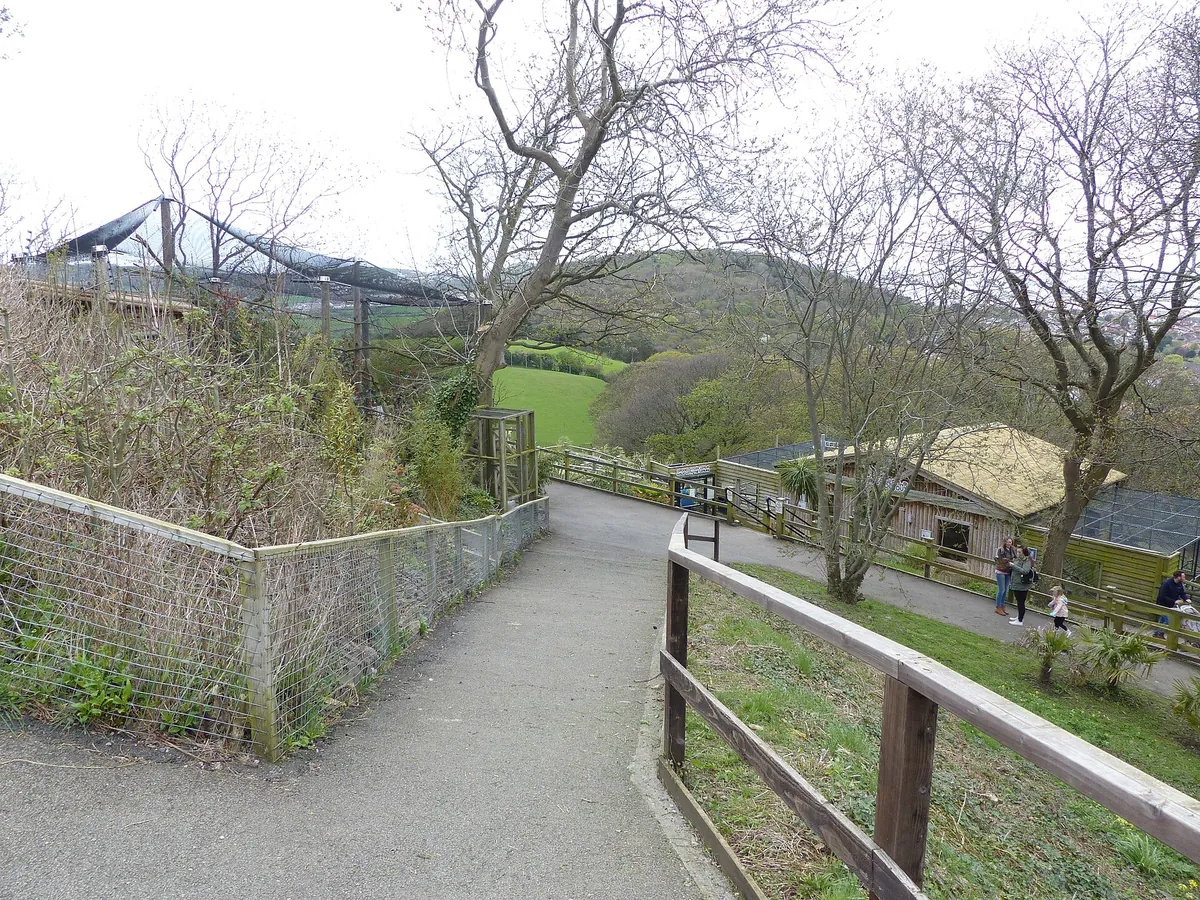 Welsh Mountain Zoo