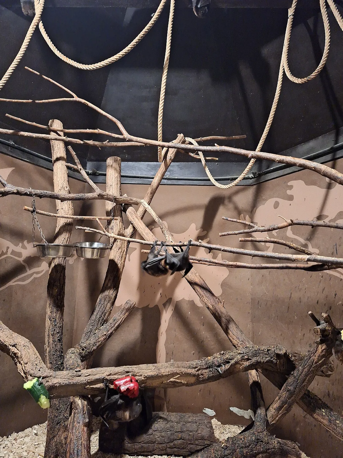 Olomouc Zoo