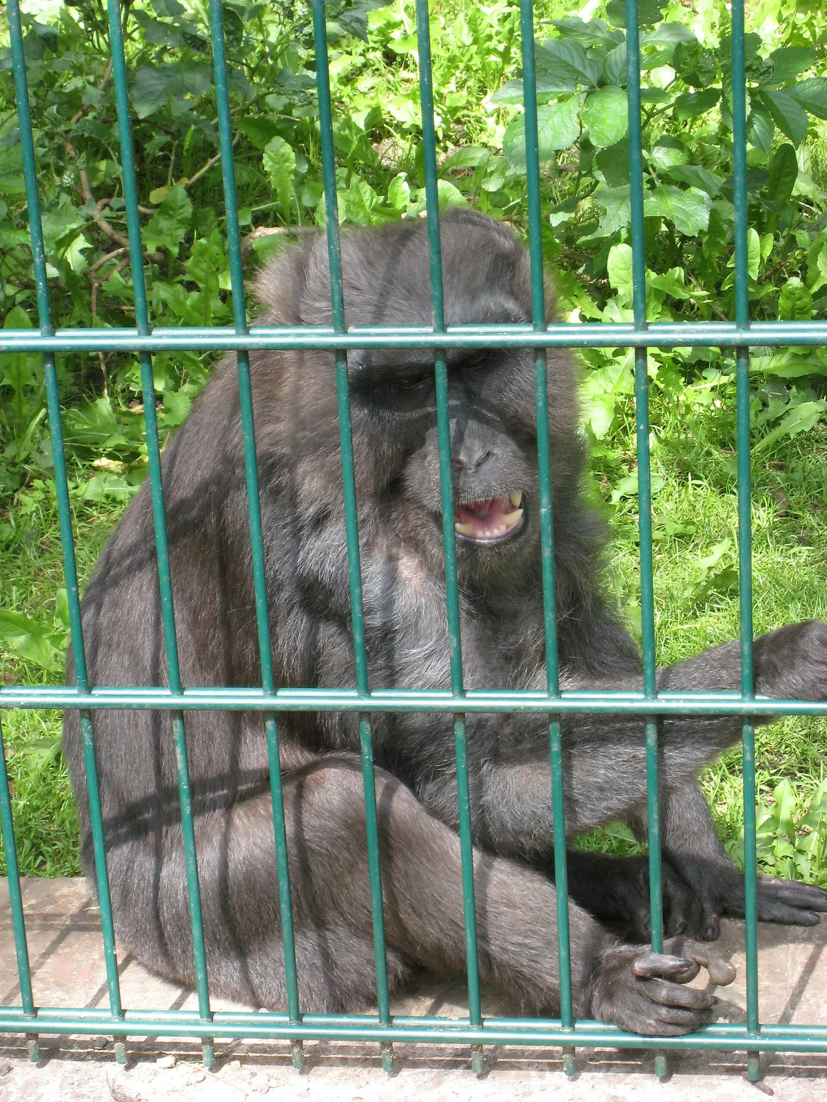 Tierpark Gotha
