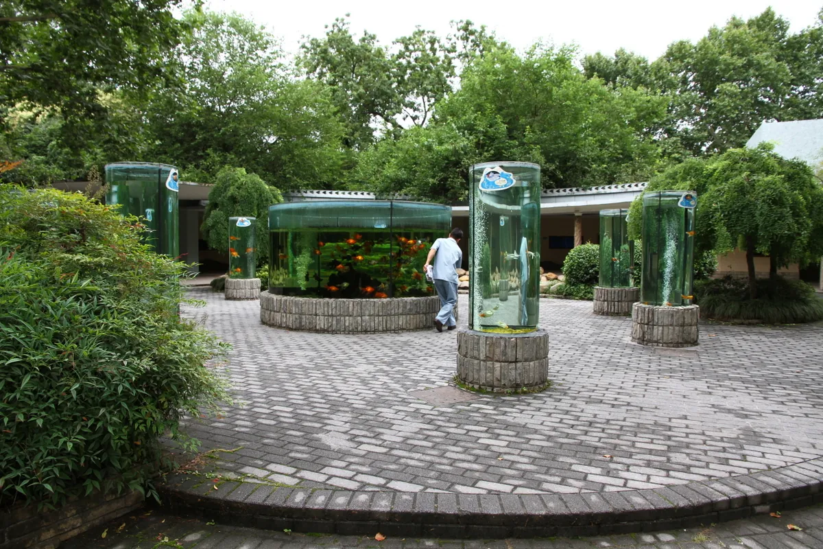 Shanghai Zoo