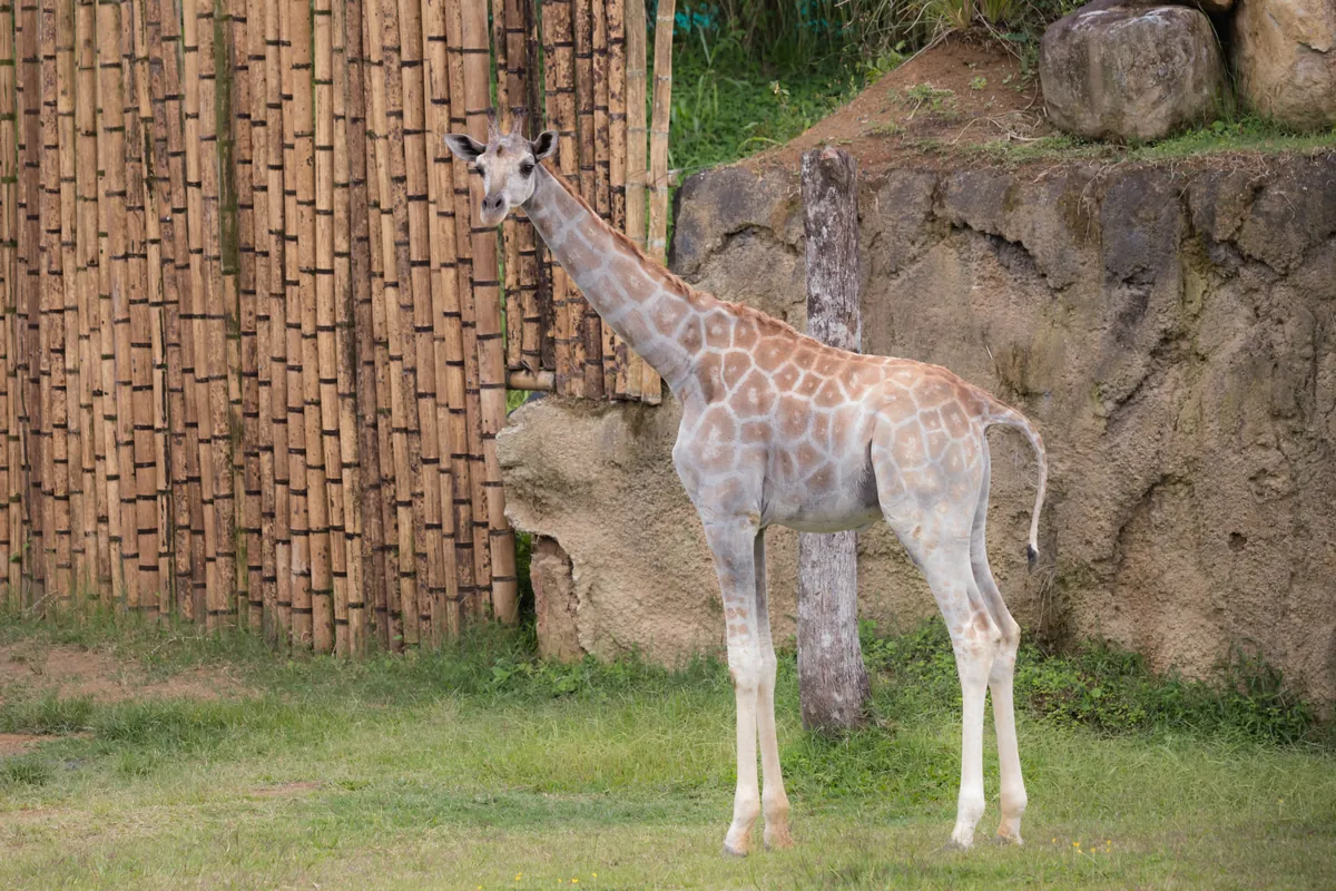 Bioparque UKUMARI