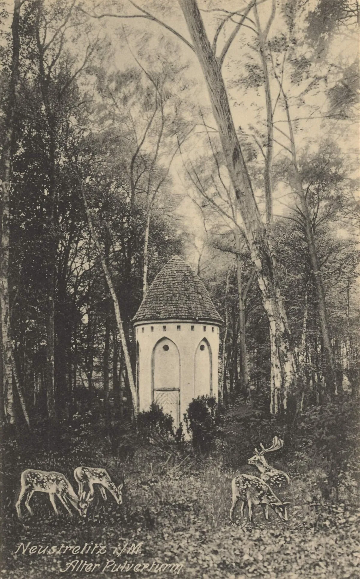 Tiergarten Neustrelitz