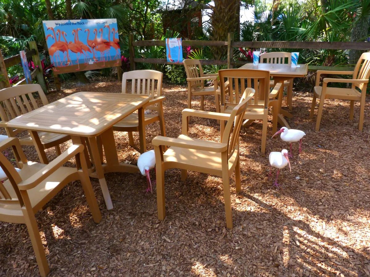 Brevard Zoo