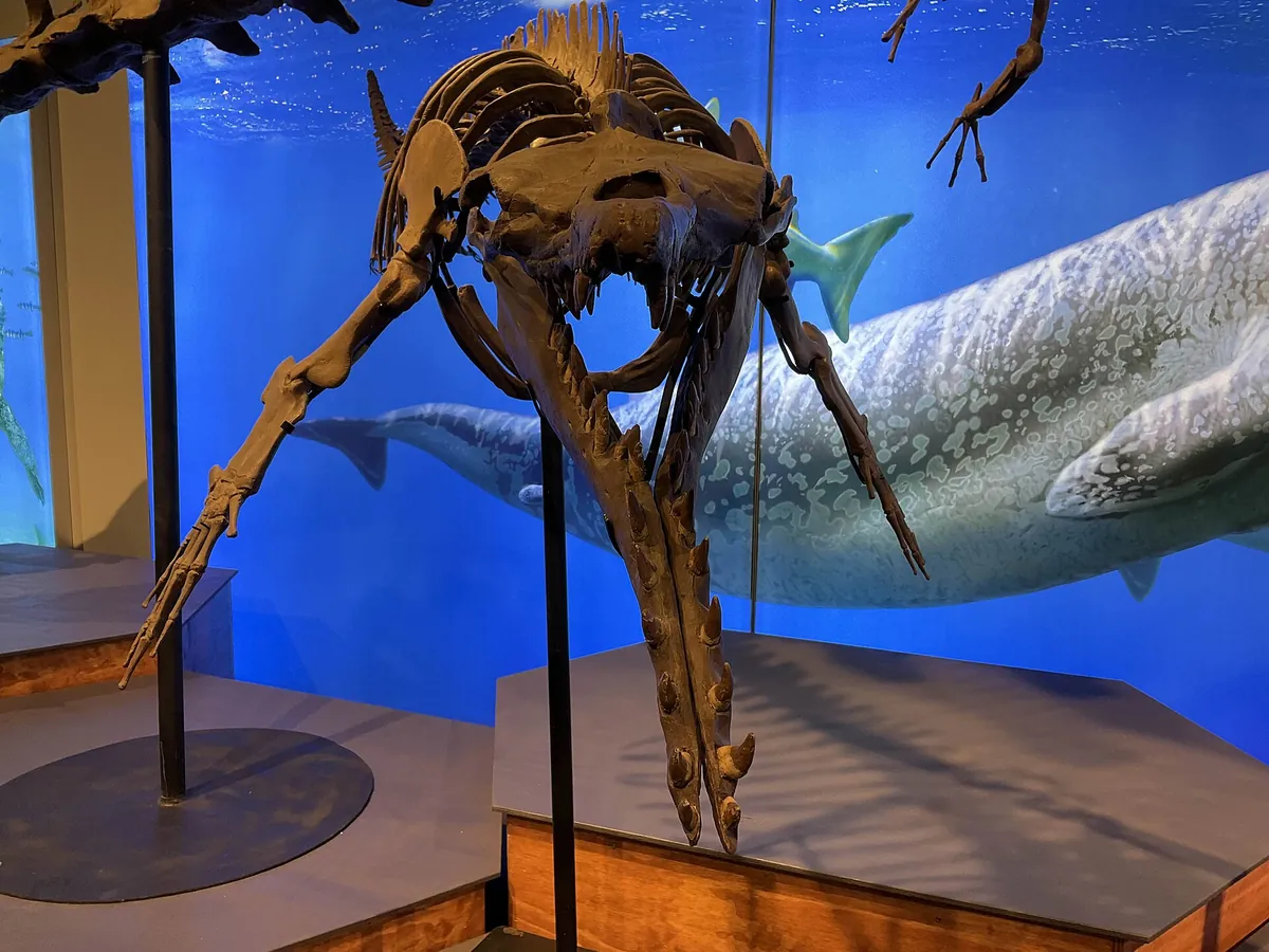 Vancouver Aquarium