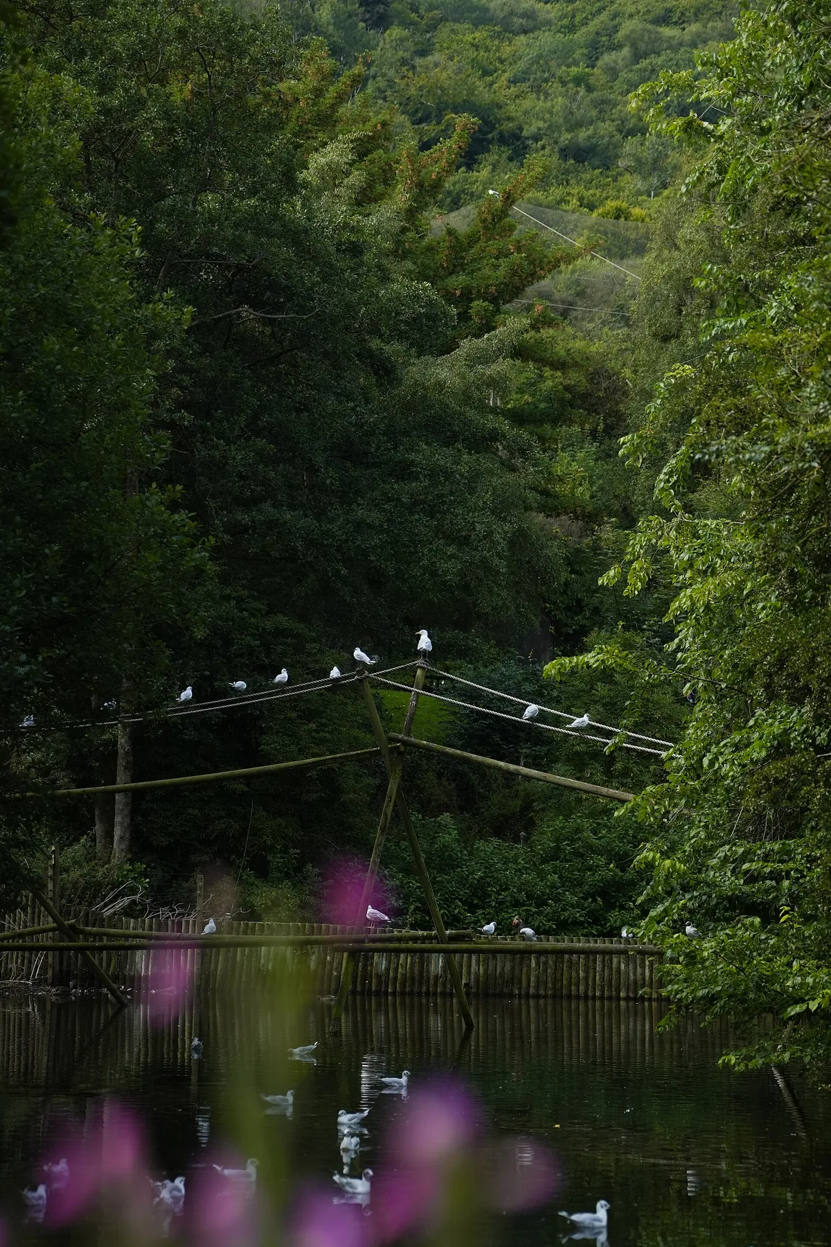 Belfast Zoo