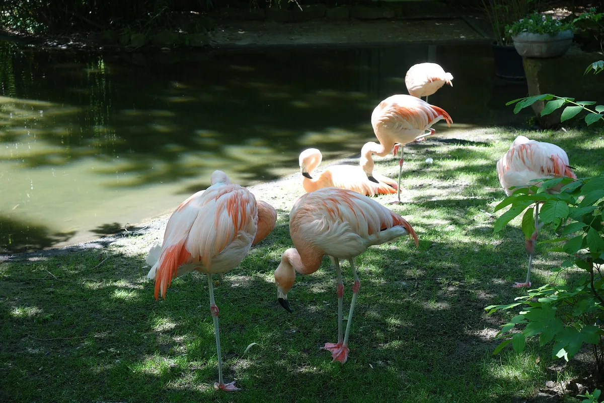 Tierpark Hamm