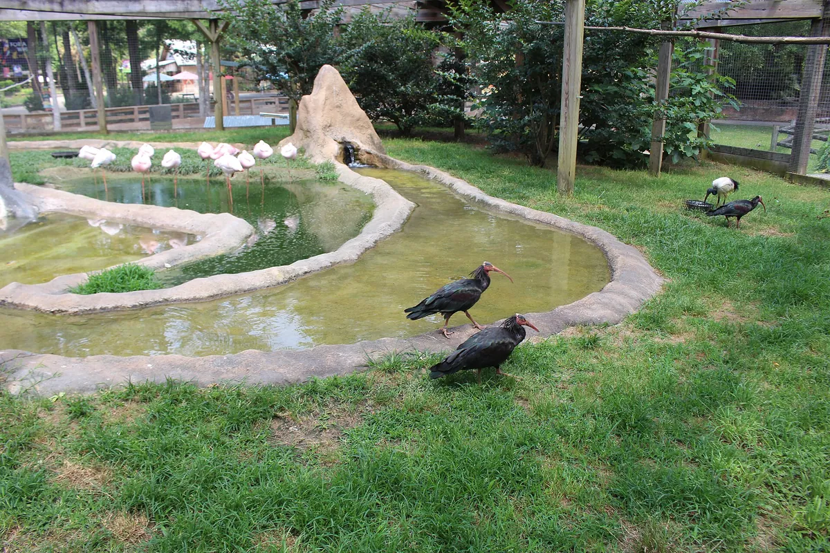 Chehaw Park