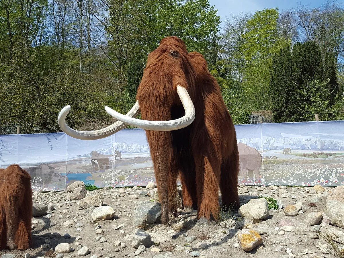Aalborg Zoo